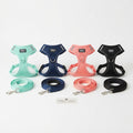 Dog & Cat Adjustable Harness with Leash Set — Breathable Mesh (S–XL)