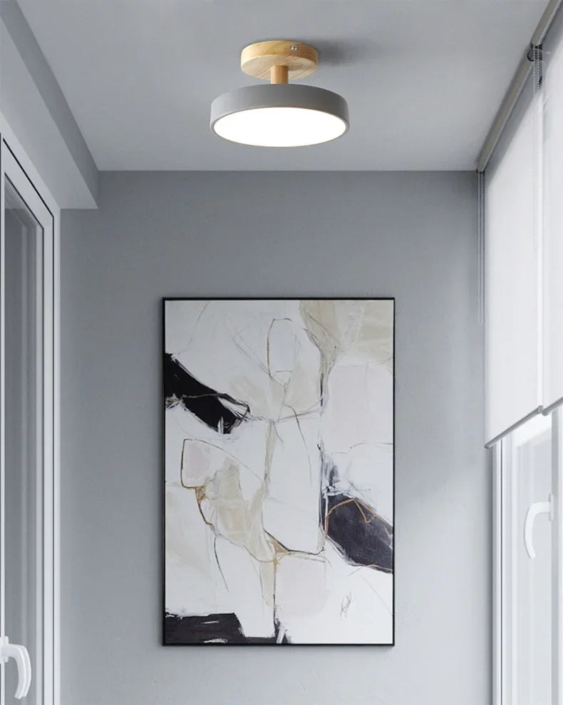 Nordic Macaron Ceiling Lamp Iron  Lamps for Living Room LED Lights for Room White/Green Furniture Luminaire Ceiling Lighting
