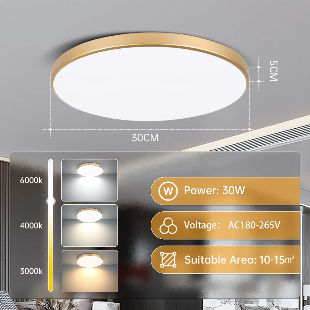 Led Ceiling Lamp Modern Ceiling Chandelier 220V Led Panel Lighting Fixture For Bedroom Kitchen Home Ultra Thin Ceilin...