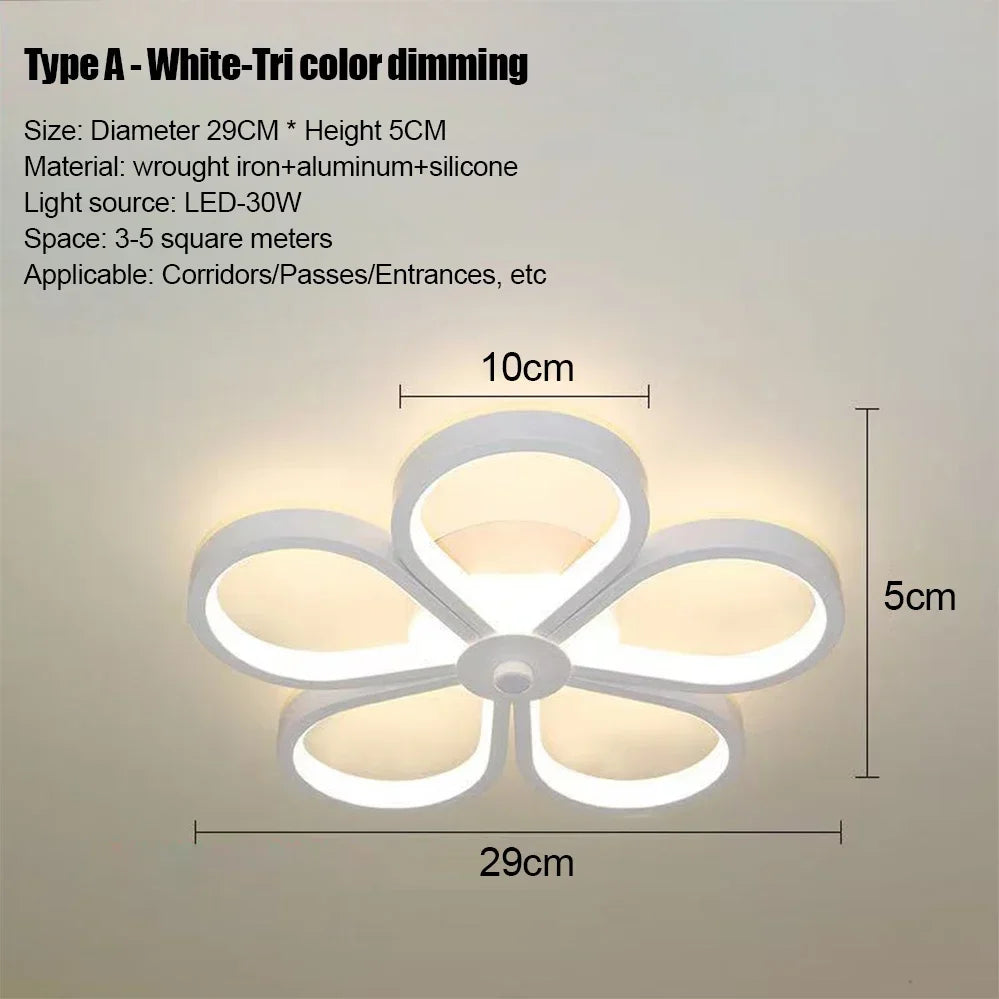 LED Strip Aisle Ceiling Lights Modern Minimalist Living Room Lamps For Balcony Entrance Home Decor Fixtures various s...
