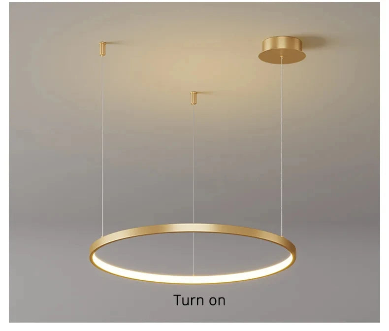 Nordic Led Ceiling Chandelier Modern Circular Ring Chandelier For Dining Room Bedroom Living Room Home Indoor Lighting Decor