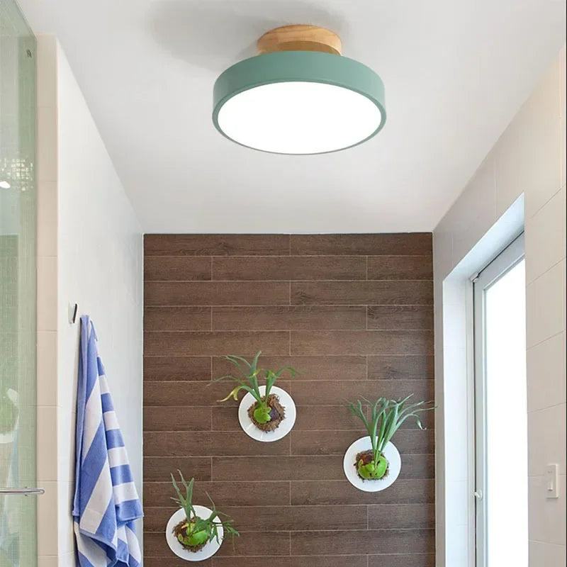 Nordic Macaron Ceiling Lamp Iron  Lamps for Living Room LED Lights for Room White/Green Furniture Luminaire Ceiling Lighting