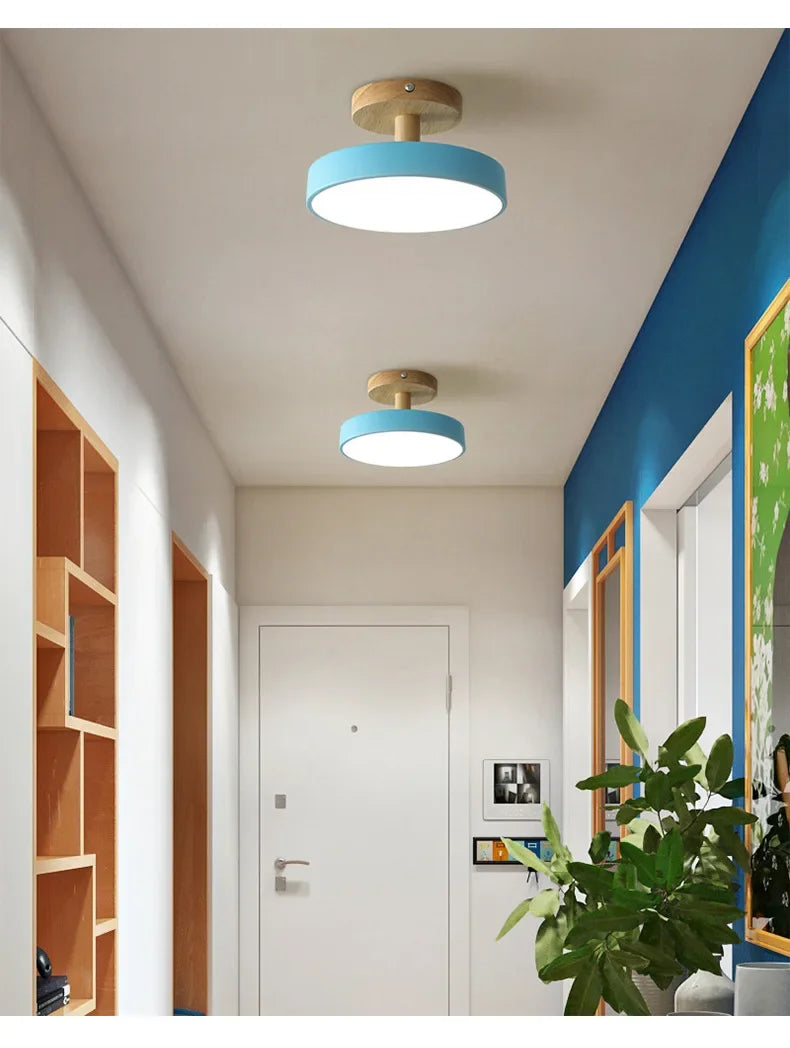 Nordic Macaron Ceiling Lamp Iron  Lamps for Living Room LED Lights for Room White/Green Furniture Luminaire Ceiling Lighting