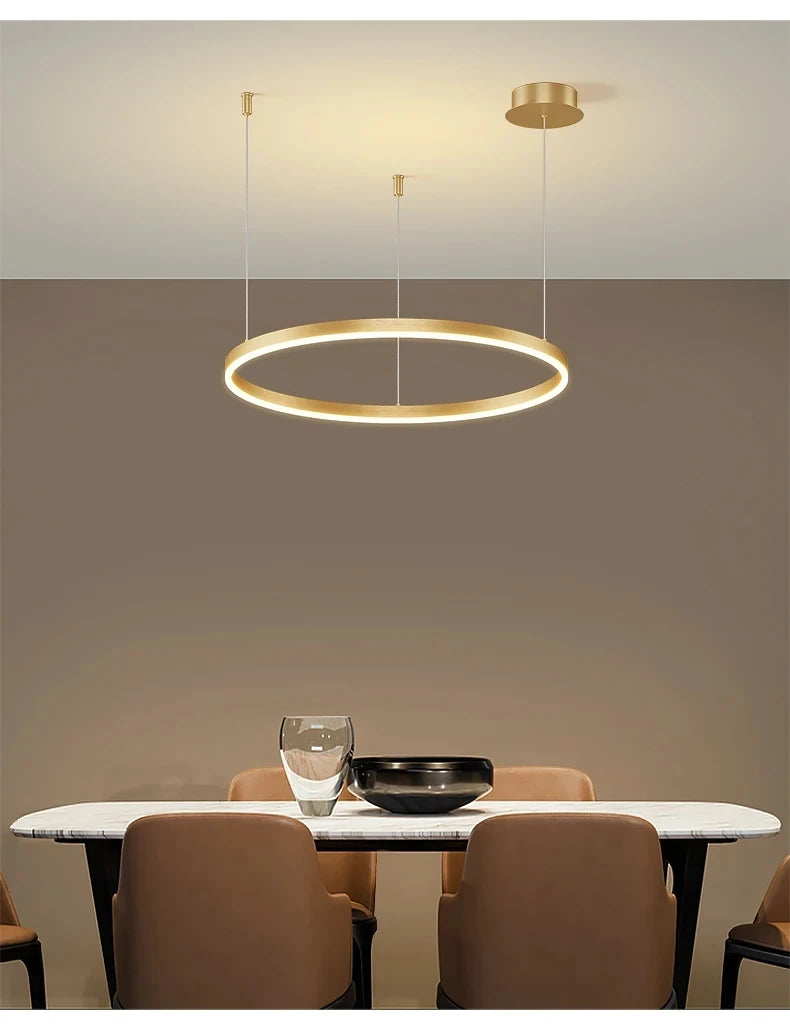 Modern LED Home Deco Chandelier Ring Light Circle Fixtures For Home Living Ceiling Pendant Lamp Gold Black Coffee Hanging Lamp