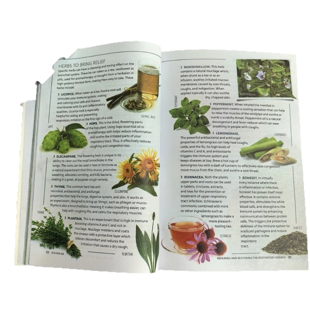 Sustain Me by Barbara O'Neill Book Provides Inspiring Insights for Improvement Life/Self-motivation/Psychological Adjustment