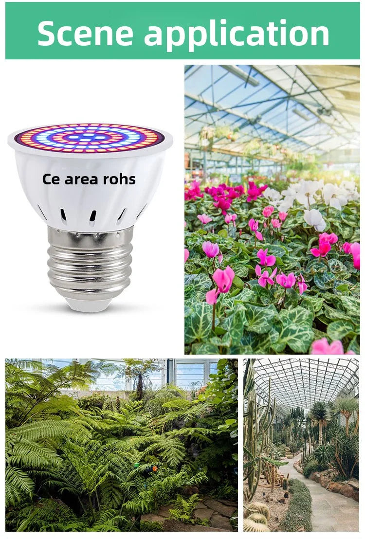 LED Grow Light Bulb E27 220V Full Spectrum 60/80LED Plant Lamp for Indoor Garden Seedling Greenho...