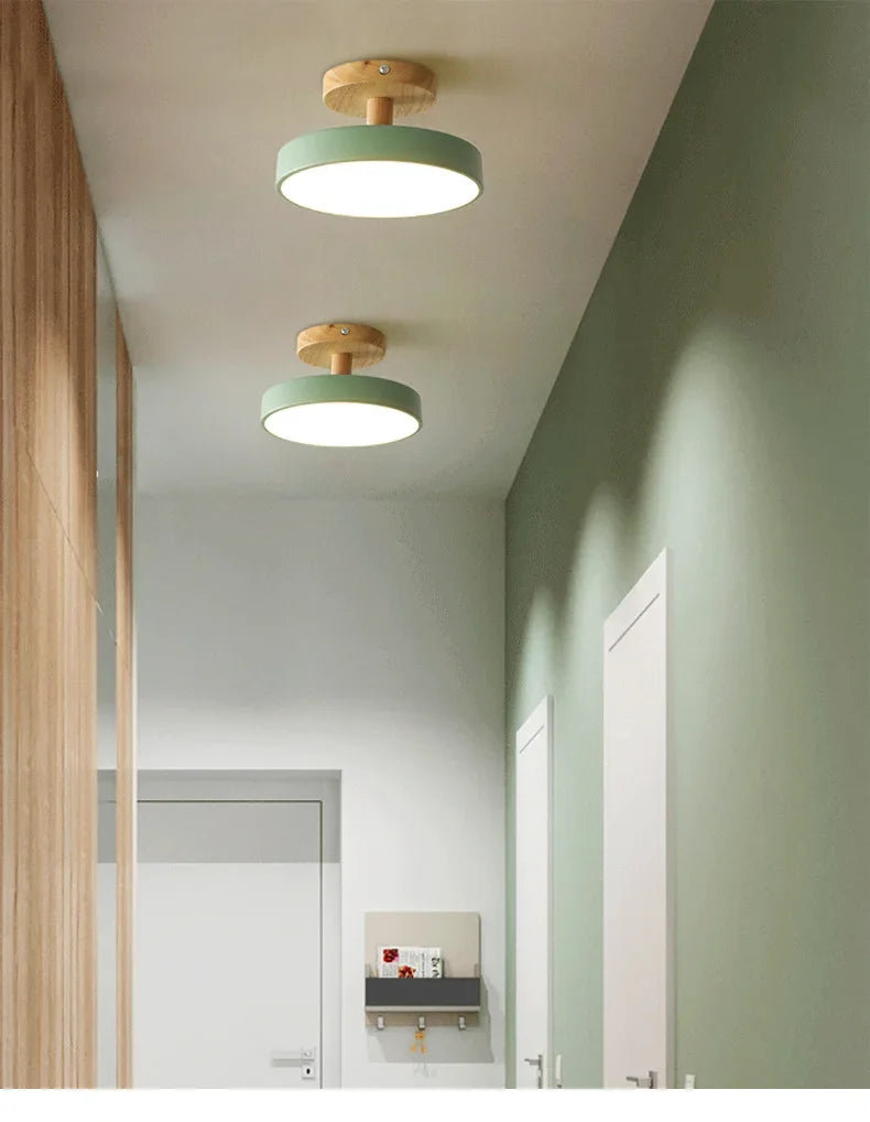 Nordic Macaron Ceiling Lamp Iron  Lamps for Living Room LED Lights for Room White/Green Furniture Luminaire Ceiling Lighting