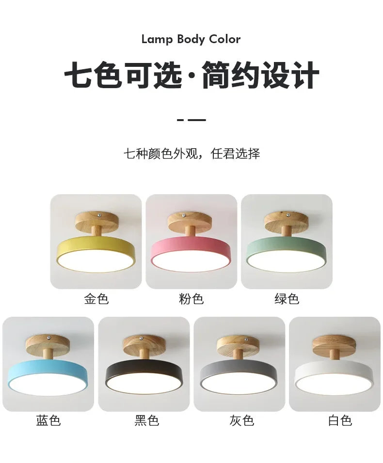 Nordic Macaron Ceiling Lamp Iron  Lamps for Living Room LED Lights for Room White/Green Furniture Luminaire Ceiling Lighting