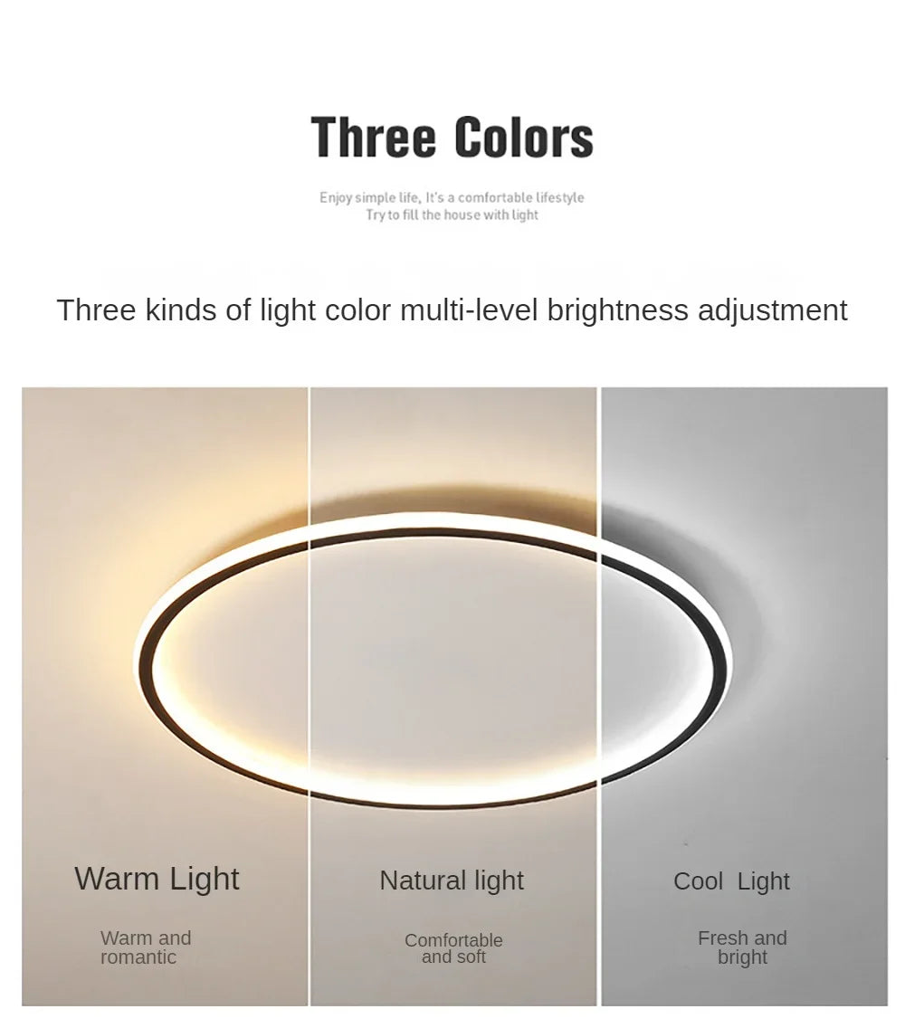 Nordic Minimalist LED Ceiling Light For Bedroom Living Room Aisle Study Room Balcony Circular Remote Control Lighting Chandelier