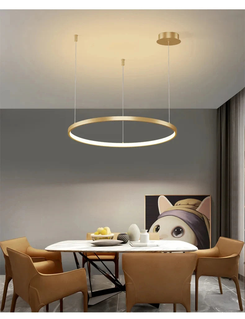 Nordic Led Ceiling Chandelier Modern Circular Ring Chandelier For Dining Room Bedroom Living Room Home Indoor Lighting Decor
