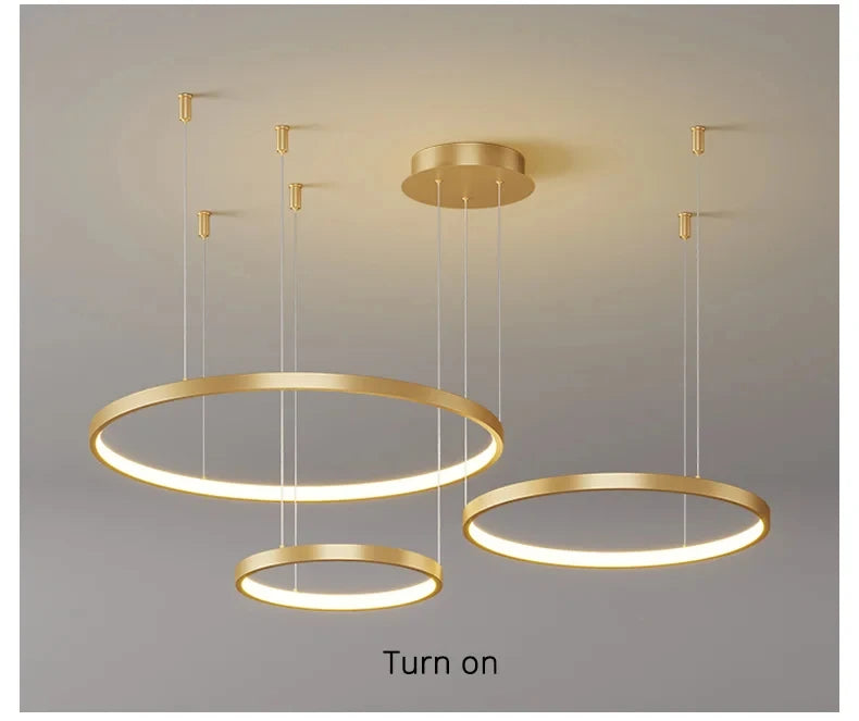 Nordic Led Ceiling Chandelier Modern Circular Ring Chandelier For Dining Room Bedroom Living Room Home Indoor Lighting Decor