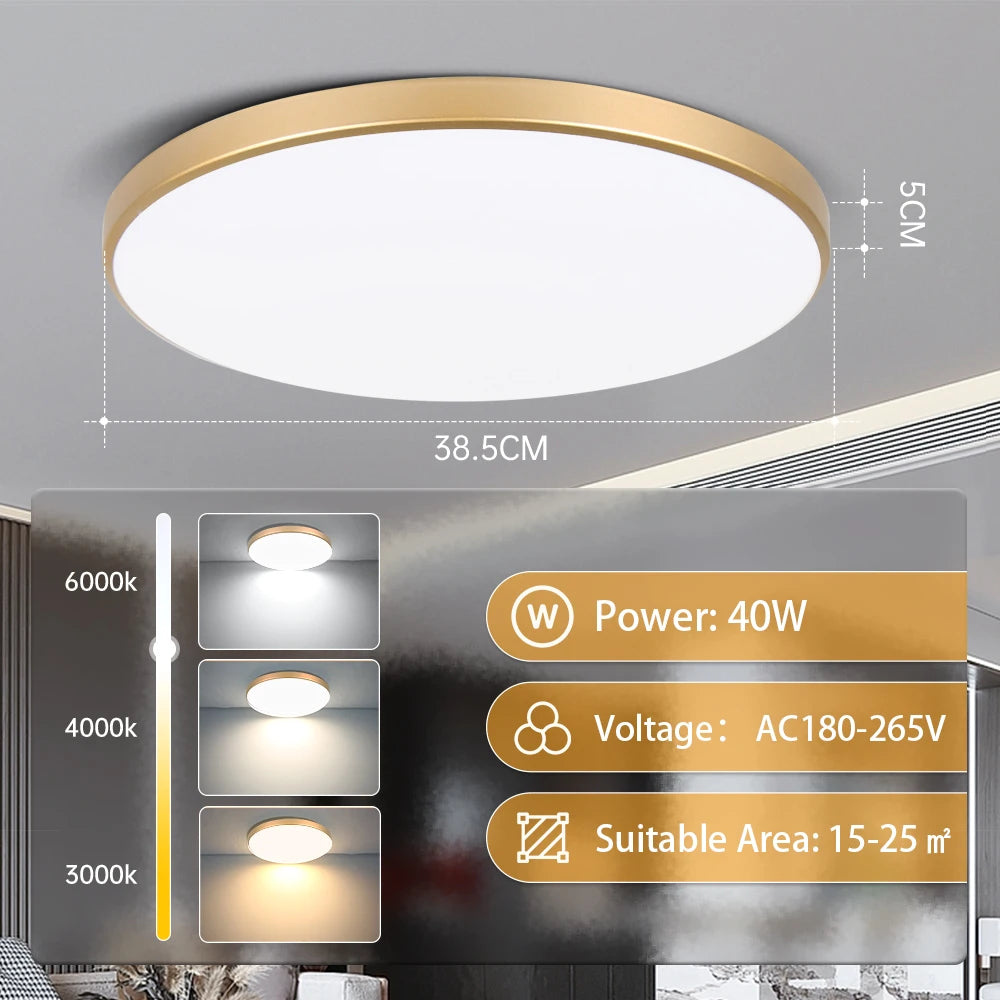Led Ceiling Lamp Modern Ceiling Chandelier 220V Led Panel Lighting Fixture For Bedroom Kitchen Home Ultra Thin Ceilin...