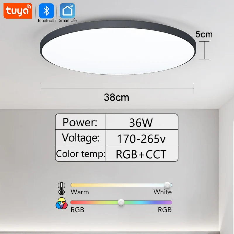 Smart LED Ceiling Light RGB Dimming APP TUYA Remote Control Timing Indoor Home Decor Bluetooth WIFI Bedroom Living Room