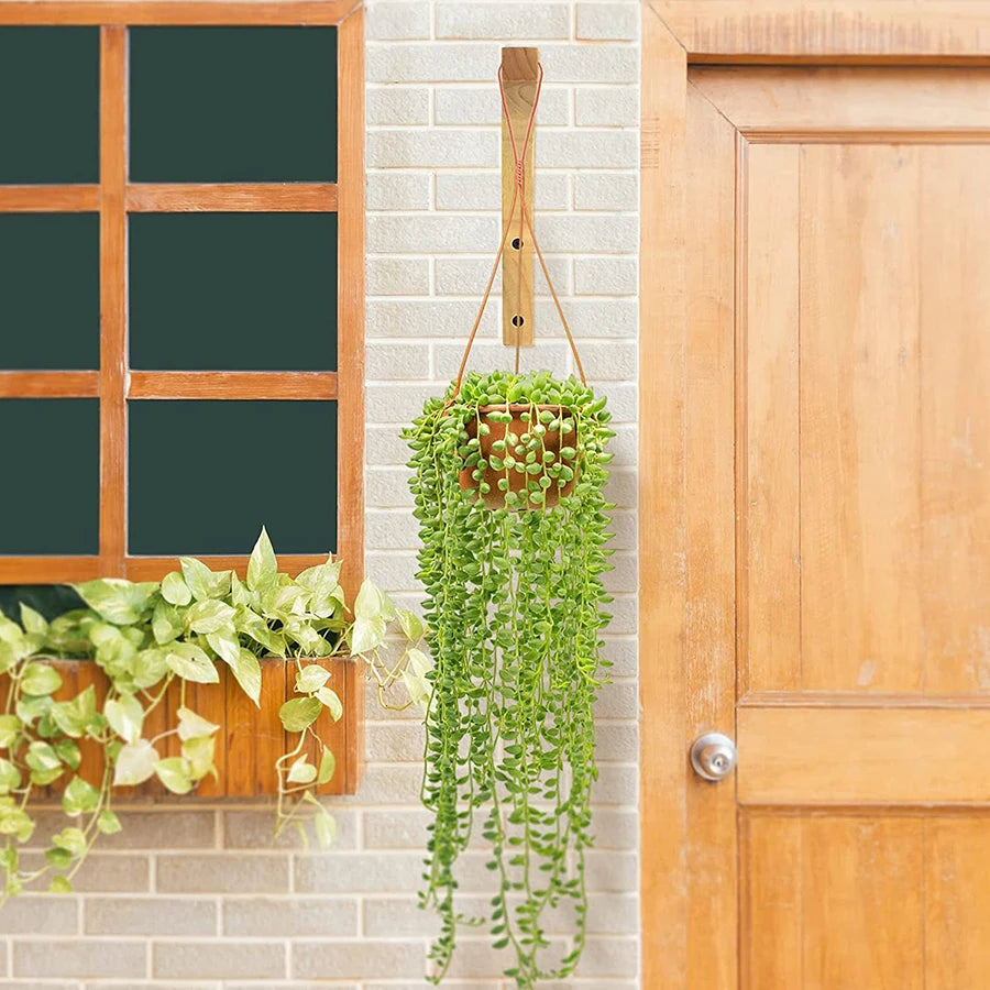 Natural Wood Wall Plant Hangers Hanging Flower Pot Hook Flower Bracket for Lanterns Wind Chimes Balcony Home Decor
