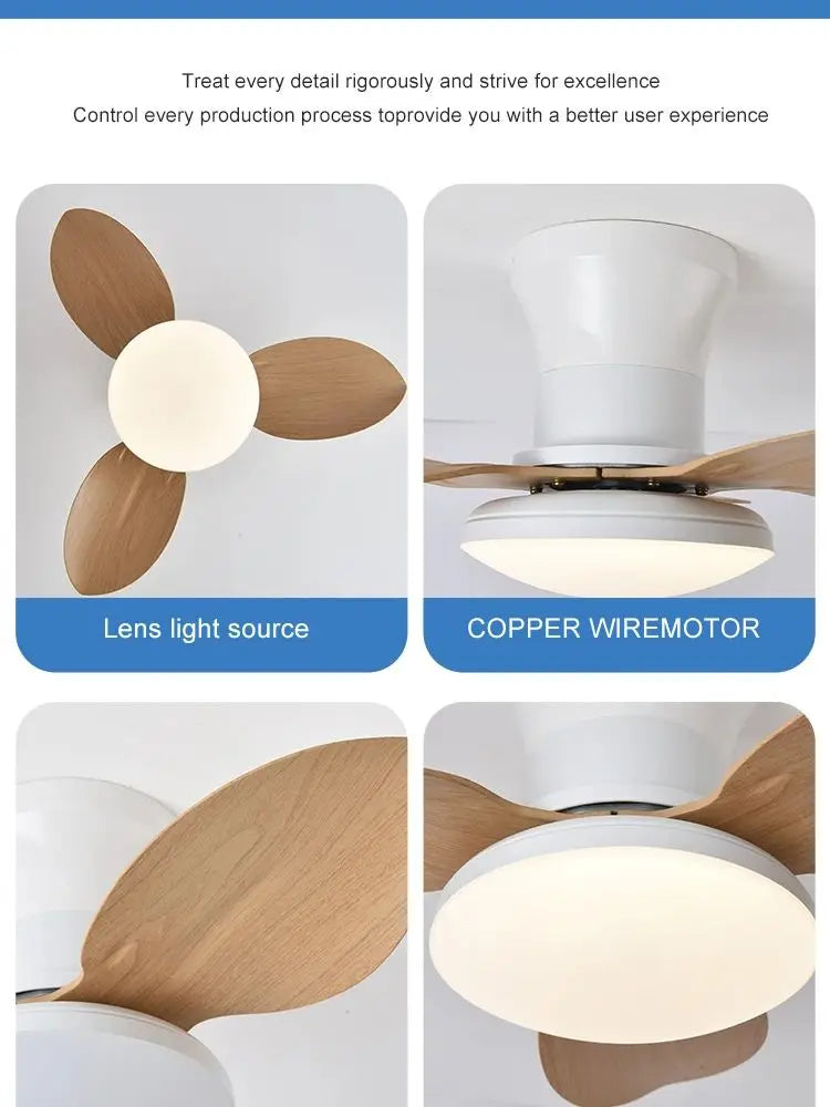 Bedroom fan light, ceiling fan light, high wind power ceiling, dining room, living room, househol...