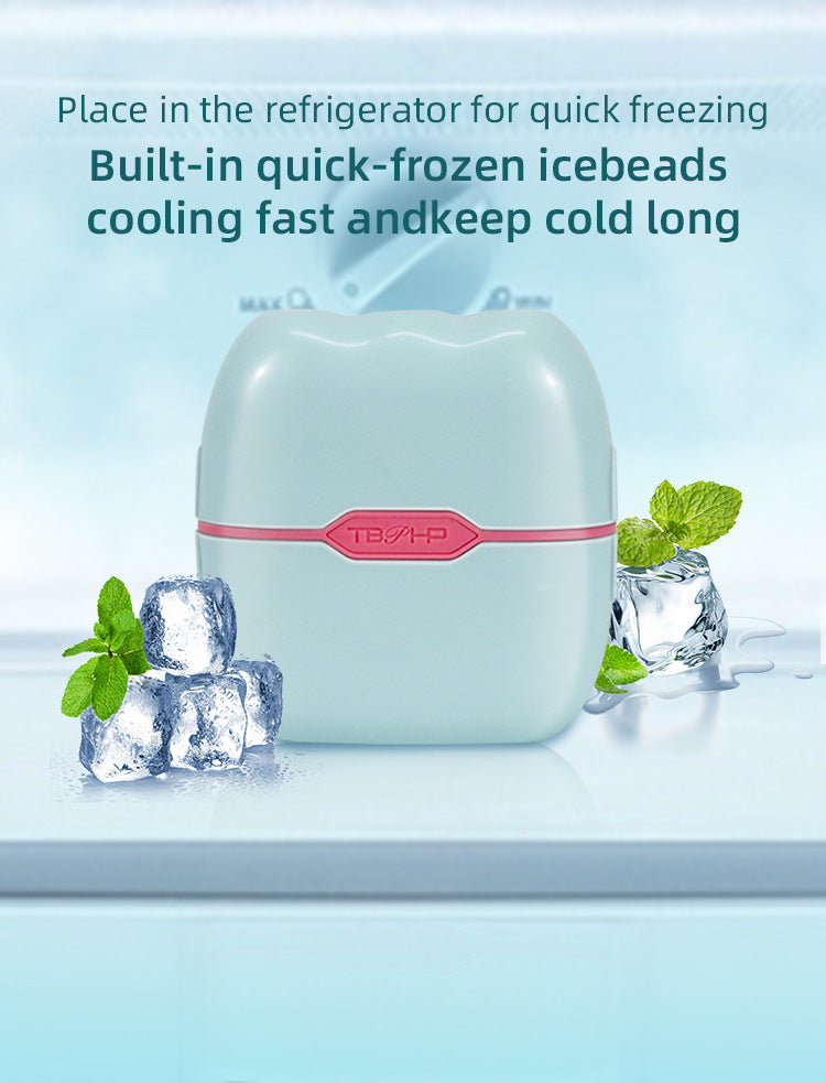 2In1 Dual Head Handheld Ice Roller For Face, Facial Cooling