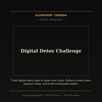 Digital Detox Challenge - Digital Download product image