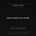 Indoor Plants Care Guide - Digital Download product image