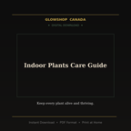 Indoor Plants Care Guide - Digital Download product image