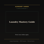 Laundry Mastery Guide - Digital Download product image