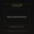Skincare Ingredient Dictionary - Digital Download