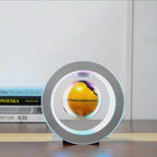 Round LED World Map Floating Globe Magnetic Levitation Light Anti Gravity Magic